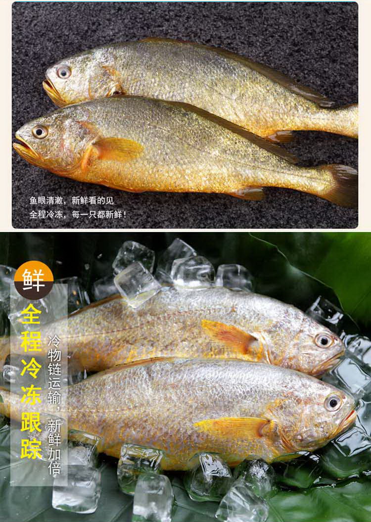 海天下大黄鱼500g/袋低价